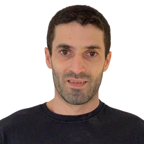 Rui Dinis Ferreira da Silva, Plattenleger